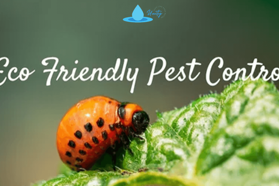 Eco-Friendly Pest Control